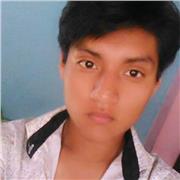 Profesor de cursos de economía